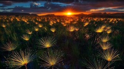 Doğa kaldığı yerden devam ediyor