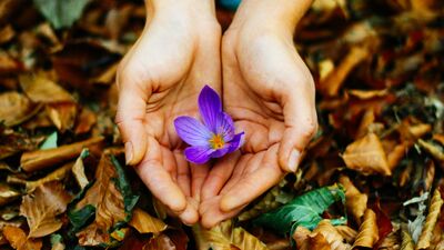 Hayata çiğdem çiçekleri gibi tutunmak...