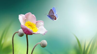 Yazarımızla buluştuk: "Yeni Çağ, Yeni İnsan" sohbeti