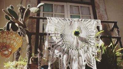 Gizli haller bölüm 16: Kovulma arsızları