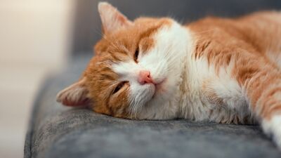  Yeterince hareket etmediğinizi gösteren 5 işaret