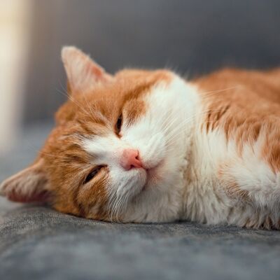 Yeterince hareket etmediğinizi gösteren 5 işaret