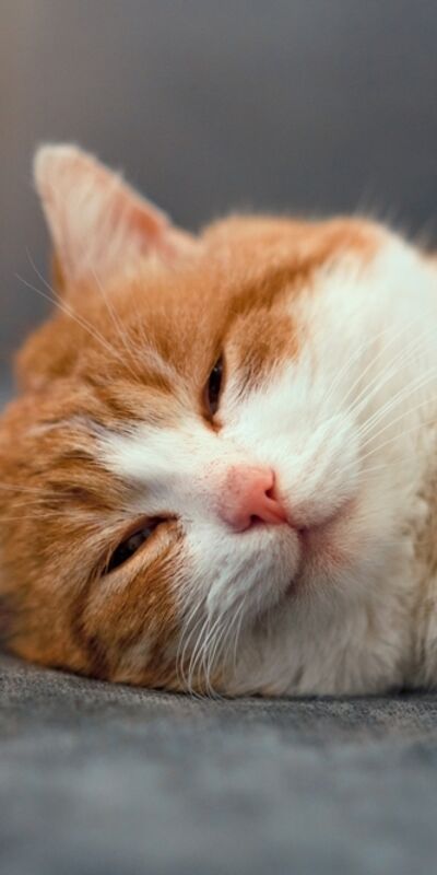 Yeterince hareket etmediğinizi gösteren 5 işaret