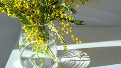 Evin enerjisini böyle yenileyin!