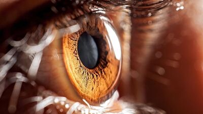 İnsan gözü neden siyah olamaz?