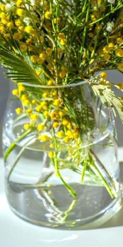 Evin enerjisini böyle yenileyin!