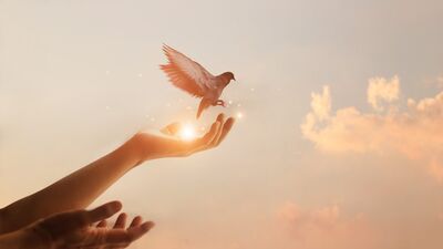 Hepimizin içindeki yaralı şifacı