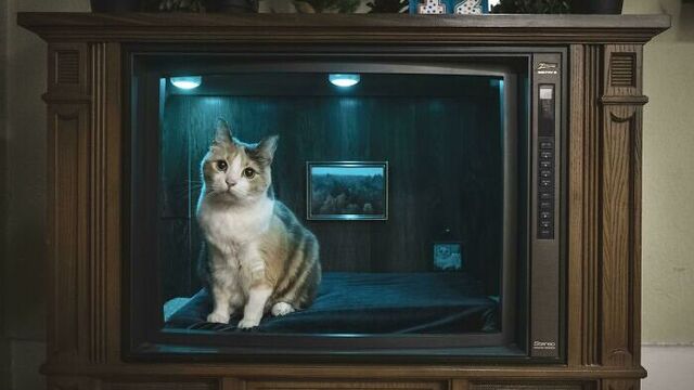 Bu fotoğraflar sizi hayrete düşürecek!