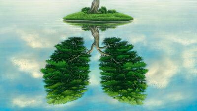 Akciğer detoksu için 8 yöntem