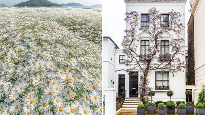 Ruhunuza iyi gelecek fotoğraflar...