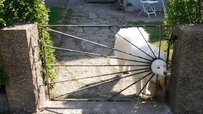 Bu hayvanlar bir garip!