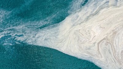 Denizlerimiz tehlikede: Deniz salyası