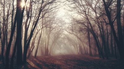 Gizli Haller bölüm 18: Kalan sızılar