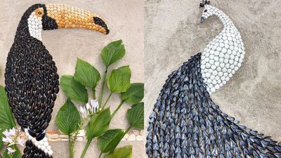 Deniz kabuklarından büyüleyici hayvan portreleri