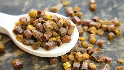 Doğal protein kaynağı: Arı ekmeği