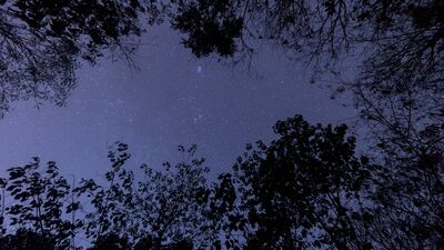 10 Temmuz Yengeç Yeniay'ı