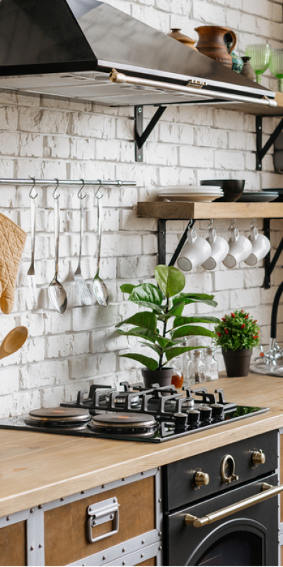 Mutfağınıza farklı bir hava katacak 8 bitki