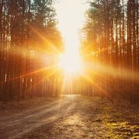 Günde kaç dakika meditasyon yapmalısınız?