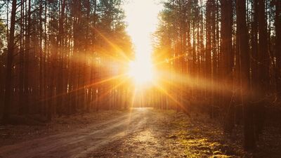 Günde kaç dakika meditasyon yapmalısınız?