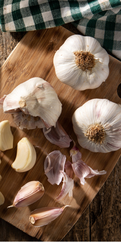 Bakterileri öldüren 9 doğal antibiyotik