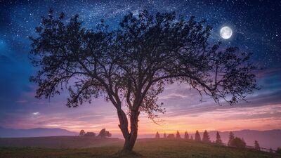24 Temmuz Kova burcunda Dolunay!