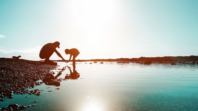 Toksik ebeveyn olduğunuzu nasıl anlarsınız?