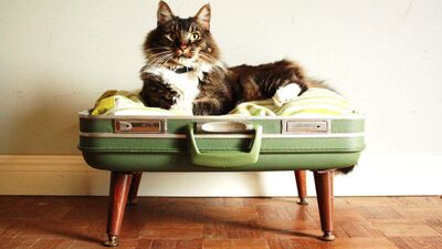 Evinizde geri dönüşüm şıklığı yaratın