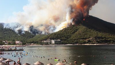Ciğerlerimiz yanıyor! Orman yangınlarında son durum ne?