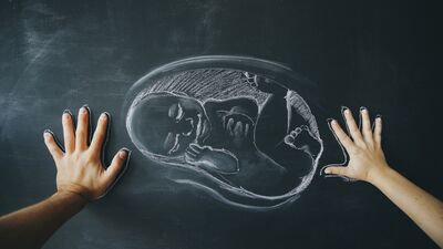 İklim kaygısı anne-baba olmaktan vazgeçiriyor