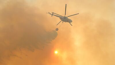 Global call: Help Turkey