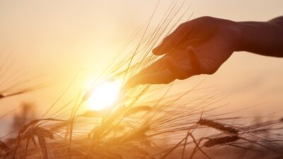 Doğal afetlerin yetişkinler üzerindeki psikolojik etkileri