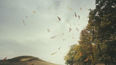 Accompanied by Laments