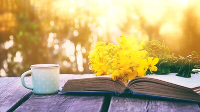 Kitaplarla iyileşme: Bibliyoterapi