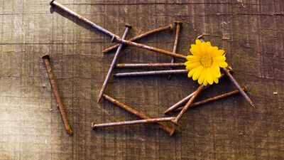 Paslı çivi suyu çiçeklere iyi gelir mi?