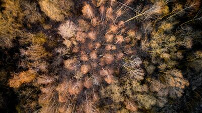 Since we have lost our eyes