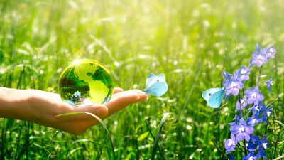 Yazarımızla sohbet: İklim krizine karşı "sürdürülebilir sadeleşme"