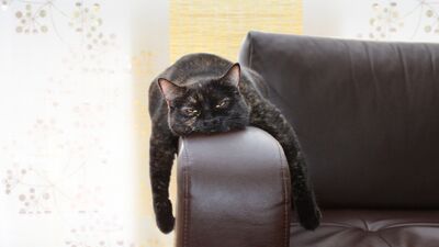 Bu öneriler eğlenmeyi unutanlar için!