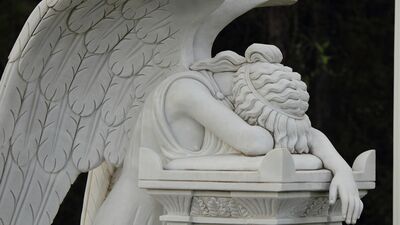 What's happening to our bodies when we are in grief?