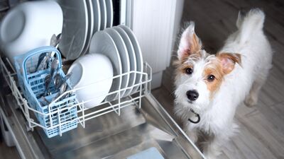 Bulaşıklar makineden kirli çıkıyorsa...