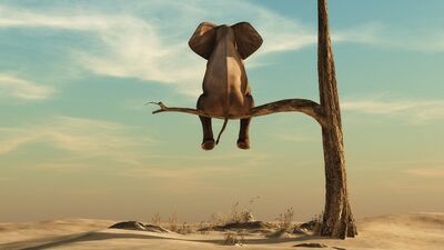 Yaşam amacı olmayanın idolü bol olur