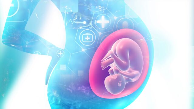 Fetal hücreler gebelikten sonra da annede kalıyor