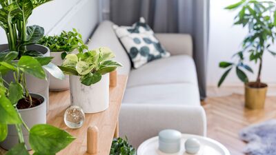 Daha düzenli bir ev için bu 8 hatadan kaçının