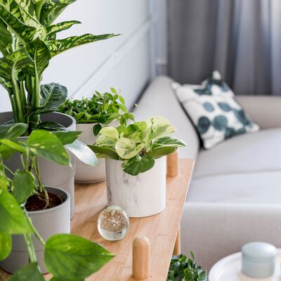 Daha düzenli bir ev için bu 8 hatadan kaçının