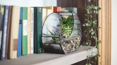 Evinizin havasını değiştirecek Feng Shui önerileri