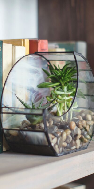 Evinizin havasını değiştirecek Feng Shui önerileri