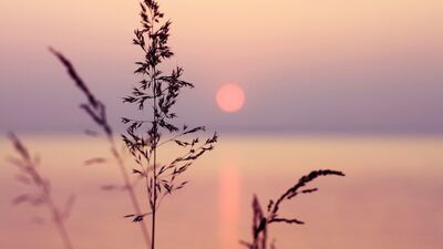 Sessizliğin 5 önemli faydası