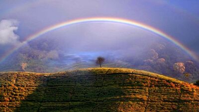 2021 yılının en iyi hava fotoğrafları