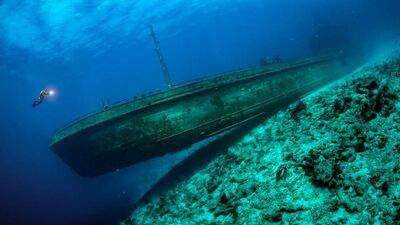 2021'in en iyi su altı fotoğrafları