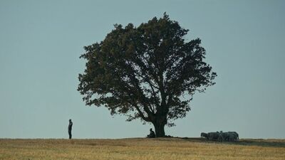 Türkiye'nin Oscar adayı: Bağlılık Hasan