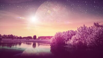 Haftalık burç yorumları: 8 - 14 Kasım